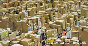 Rise of food and parcel deliveries during pandemic has resulted in more jobs that are lower-paid, report finds - Wales Online