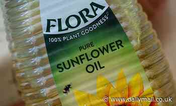 Cooking oil rationing may spread to other products amid warnings of food crisis as price fears grow - Daily Mail