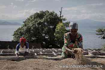Food prices are on the rise – and the global south will be hit hardest - The Independent