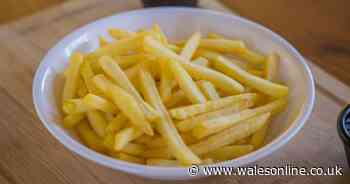 Food expert shares hack to prevent leftover chip from going soggy when reheated - Wales Online