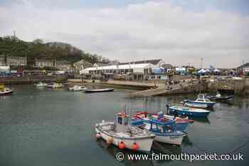 Cadgwith Choir member criticises Porthleven Food Festival - Falmouth Packet