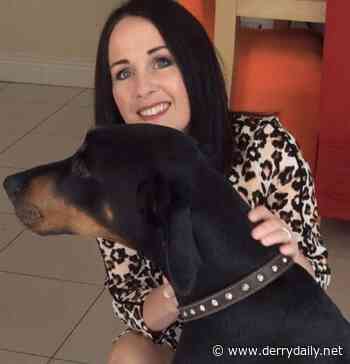 Cusack appeals for pet food donations for foodbanks and shelters - Derry Daily