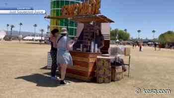 Coachella Music and Arts Festival vendor and festivalgoers share their experience with food and beverages - kuna noticias y kuna radio