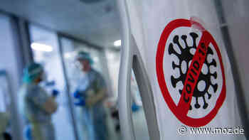 Corona in der Uckermark: Sprunghafter Anstieg der Inzidenz zwischen Angermünde, Schwedt, Templin und Prenzlau - Märkische Onlinezeitung