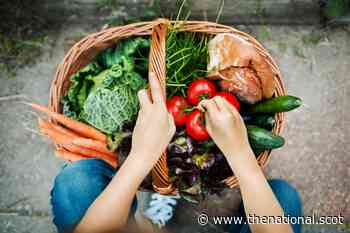 Good Food Nation Bill: Scotland must move faster on food laws - The National
