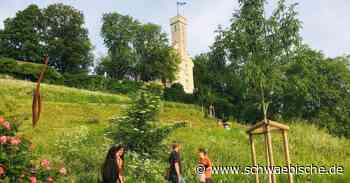 Ravensburg lässt Alkoholverbot am Veitsburghang kontrollieren - Schwäbische