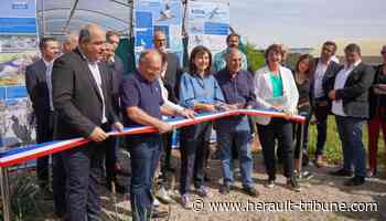 Frontignan : la ville soutient le développement de la LPO - Hérault Tribune