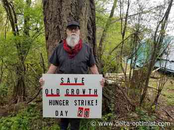 Nanaimo old-growth activist on hunger strike taken to hospital - Delta Optimist