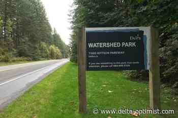 Report of shots fired in North Delta park - Delta Optimist