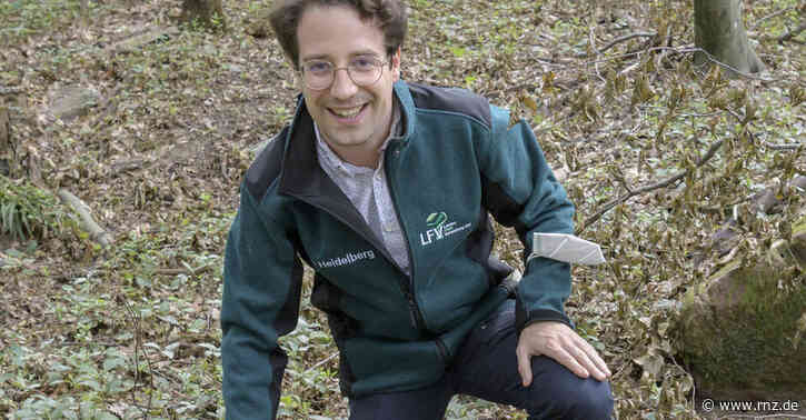 Heidelberg:  Forstleute sind "am Limit"