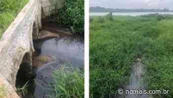 Ministério Público investiga poluição por despejo de esgoto em lagoa de Imbituba - ND Mais
