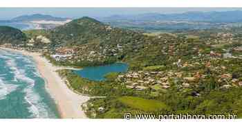 Observatório Social e órgãos de Imbituba questionam MPF sobre decisão que impede Celesc de religar energia em áreas consolidadas em APPs - Portal AHora