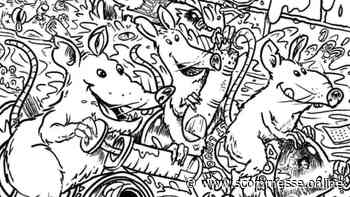 Test: sei in grado di aiutare i 3 roditori a ritrovare tutti e 15 gli oggetti persi? - News Sportive