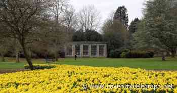 Sun and highs of 16C for Coventry and Warwickshire today before frost returns - Coventry Live