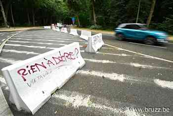 Stad Brussel zoekt burgers voor nieuw panel over Ter Kamerenbos - BRUZZ