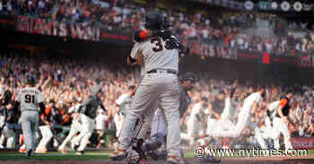 Brandon Belt and the Giants Are Writing Their Own Rules - The New York Times