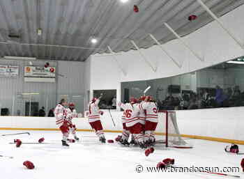 Hounds bounce Wildcats for nationals berth - The Brandon Sun