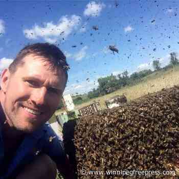 Brandon University gets unique new buzz code - Winnipeg Free Press