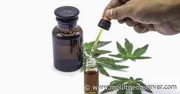 Kemp's plan for medical cannabis could lead to do-over for license applicants - Moultrie Observer