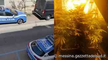 Messina, scoperta una coltivazione di marijuana in un’abitazione del centro - Gazzetta del Sud - Edizione Messina