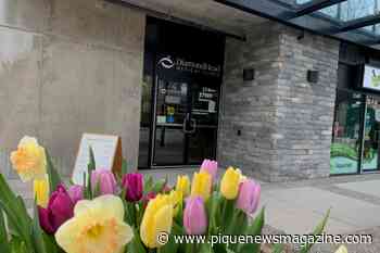 Are there enough family doctors in Squamish? - Pique Newsmagazine