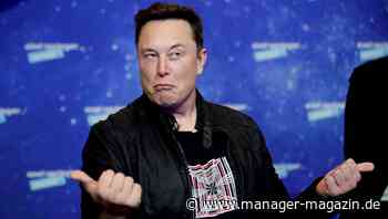 Twitter verhandelt offenbar nun doch mit Tesla-Chef Elon Musk über Übernahme