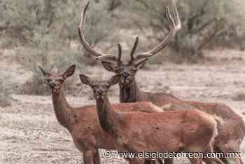 Peñoles y Fresnillo plc reiteran compromiso con el cuidado del medio ambiente - El Siglo de Torreón