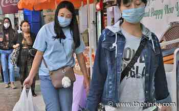 Nagaland is coronavirus-free - The Hindu