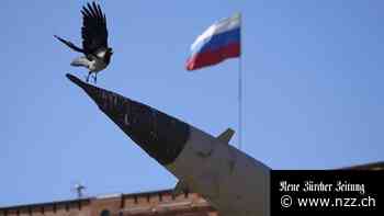 «Ich kann nicht in einem Land leben, das seine Nachbarn überfällt» – die IT-Spezialisten verlassen Russland