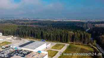 Ökologischer Verlust: Umweltreferent Wolfgang Hintereder will schnelleren Ausgleich