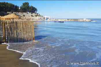 "Sarà l'alta marea?" Passeggiata sulla spiaggia di Colonna interrotta da un lido privato - TraniViva