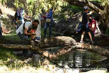 Gobierno de Cuernavaca busca declaratoria de reserva natural protegida para la Barranca, El Pilancón - Noticias de Morelos - La Crónica de Morelos
