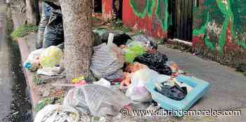 Se acumula la basura en Cuernavaca - Diario de Morelos