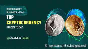 Crypto Market Plummets Again! Top Cryptocurrency Prices Today - Analytics Insight