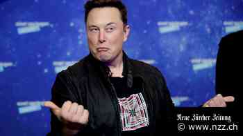 Nach einem geheimen Treffen: Twitter erwägt Musks Übernahmeangebot