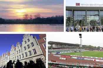 Die verrücktesten Google-Rezensionen in Münster