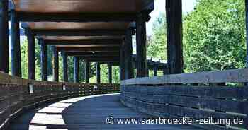 Marion Demme-Zech schickt Kinder zu 28 Zielen im Kreis Merzig-Wadern. - Saarbrücker Zeitung