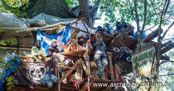 Hambacher Forst: OVG verhandelt mündlich im Streit um Baumhäuser - Aachener Zeitung