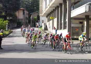 Gara per esordienti e ciclostorica: primavera in bici a Gallarate con la SC Crennese - varesenews.it