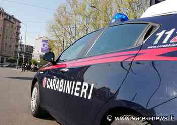 Stessa rapina al Maxi Zoo di Gallarate a 8 anni di distanza, arrestato uomo di 38 anni - varesenews.it