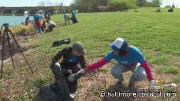Community Cleans Up Middle Branch Park with Blue Water Baltimore for Earth Day - CBS Baltimore