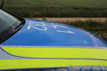 Ulm: Autofahrer schanzt über Böschung – Mitfahrerin verletzt - BSAktuell