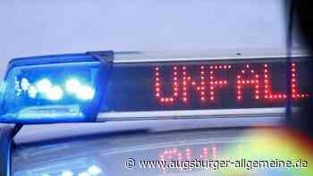 Neu-Ulm: Junger Hund läuft bei Neu-Ulm auf die Bundesstraße und wird überfahren | Neu-Ulmer Zeitung - Augsburger Allgemeine