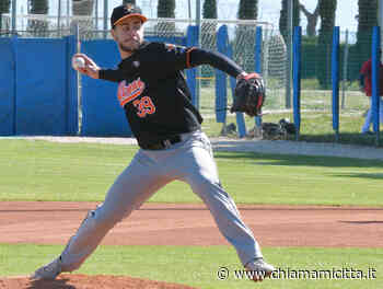 Baseball, Falcons Torre Pedrera sconfitti da Modena - ChiamamiCittà