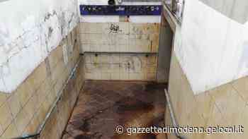 Policlinico di Modena: stazione in mano al degrado Acqua stagnante, rifiuti e immondizia - La Gazzetta di Modena