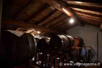 Nasce la mappa del turista balsamico e dei tesori gastronomici di Modena - VdgMagazine