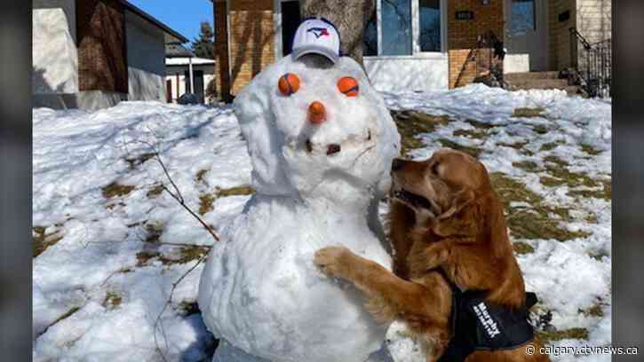 Warm and sunny start to Calgary's work week