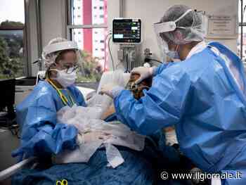 Ecco chi sono gli "eterni positivi" al Covid