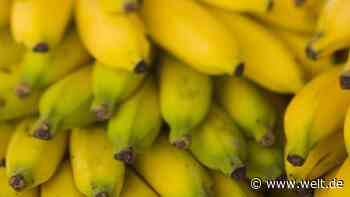 Ingwer, Vanille, Bananen – Kommen exotische Früchte bald aus Deutschland?