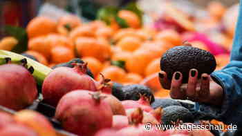Forderung des Umweltbundesamts: Pflanzliches Essen mehrwertsteuerfrei? | tagesschau.de - tagesschau.de